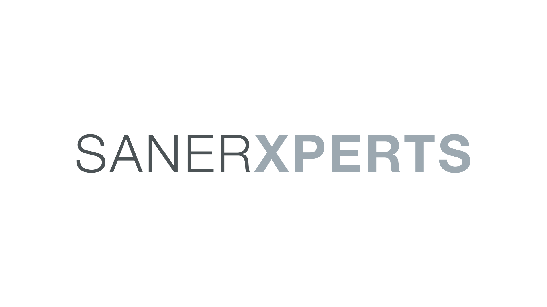 SANERXPERTS Logo Design