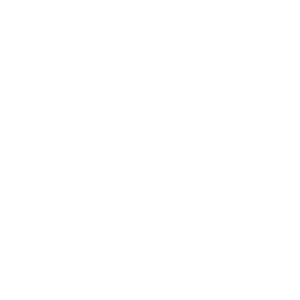 Logo alpitronic