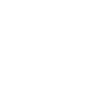 Logo CYNOS