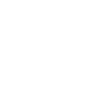 Logo LAVORIS