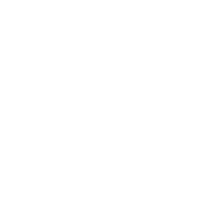 Logo Selectra