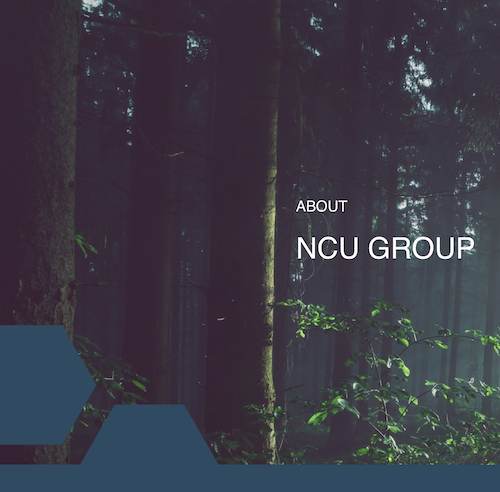 NCU Group - Webdesign, Power Point und Grafik