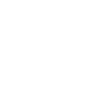 Logo Wollwerkstatt