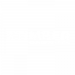 Logo X TIMBER