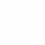 Logo X Timber - Kunden von TM BRANDING